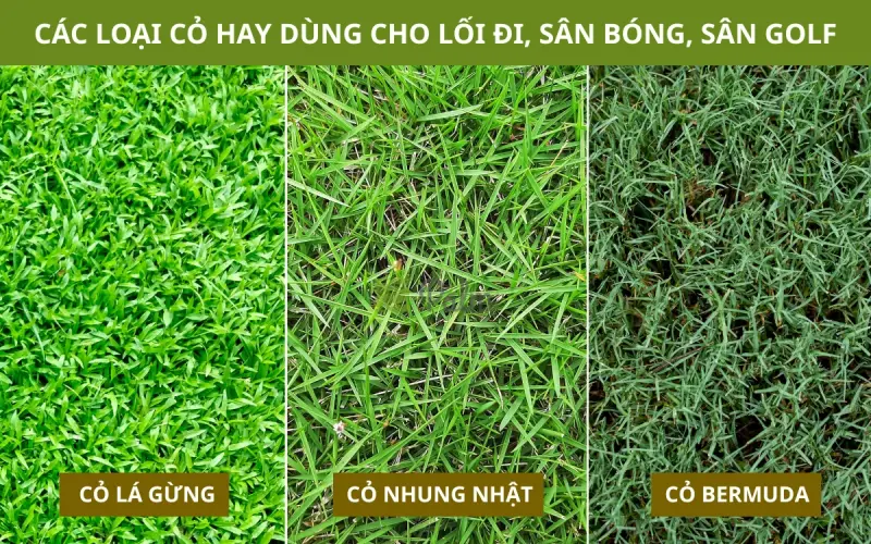 Vỉ Trồng Cỏ Chịu Lực | Tất Tần Tật Về Lợi Ích, Ứng Dụng Và Cách Lắp Đặt